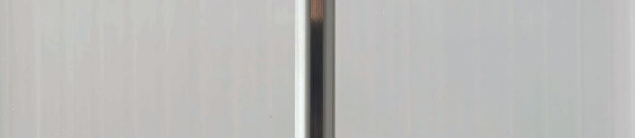 Plafon PVC SP001 NS Deluxe White Nat Silver